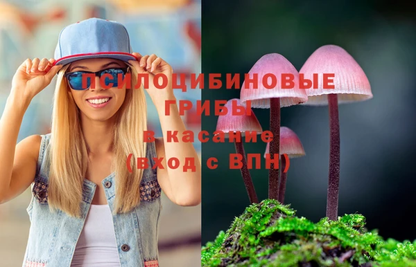 гашик Баксан